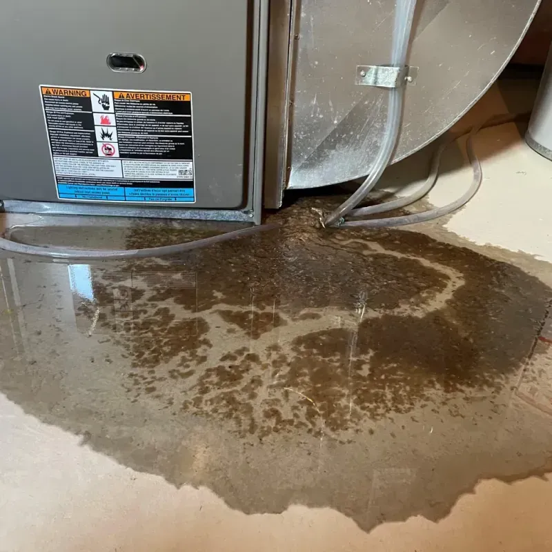 Appliance Leak Cleanup in Dunn, NC